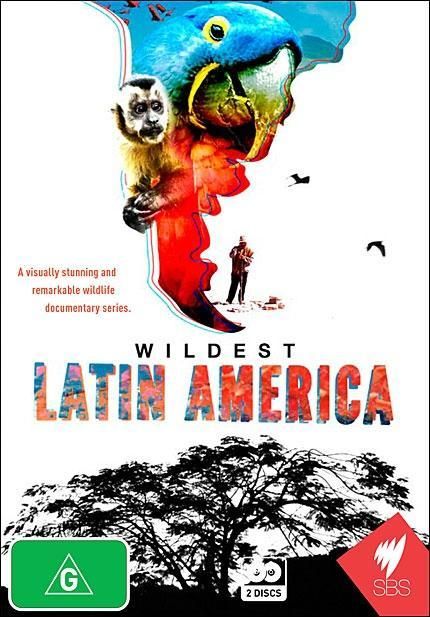 В дебрях Латинской Америки