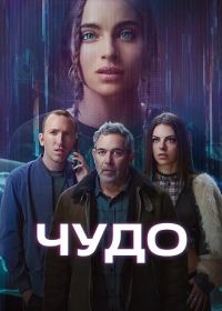 Чудо (Вандер)