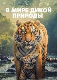 В мире дикой природы