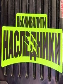Выживалити. Наследники