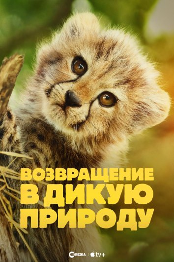 Возвращение в дикую природу